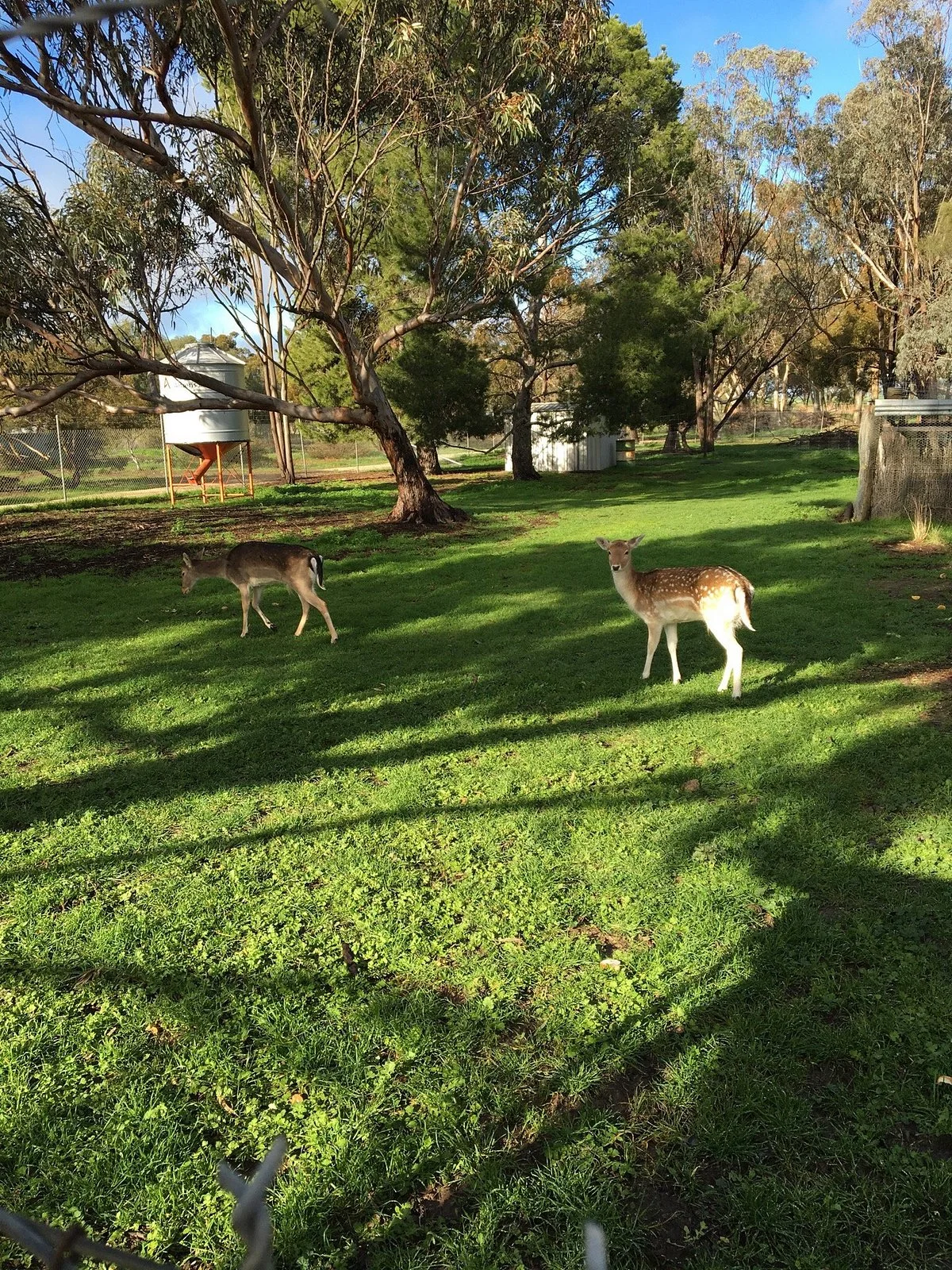 Kaniva Wetlands and Fauna Park