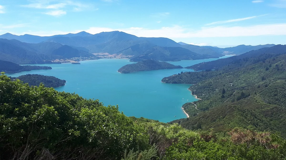 Onahau Point Lookout