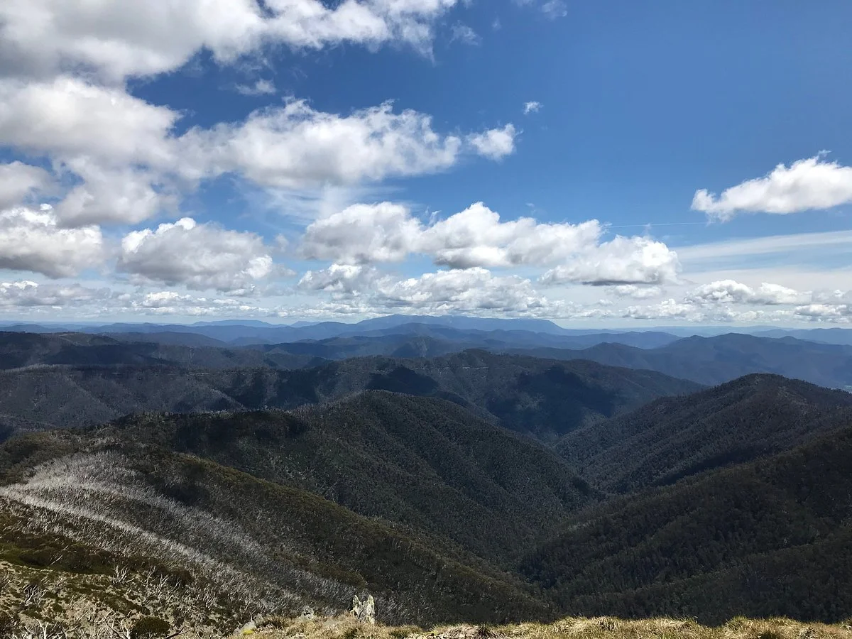 Danny's Lookout
