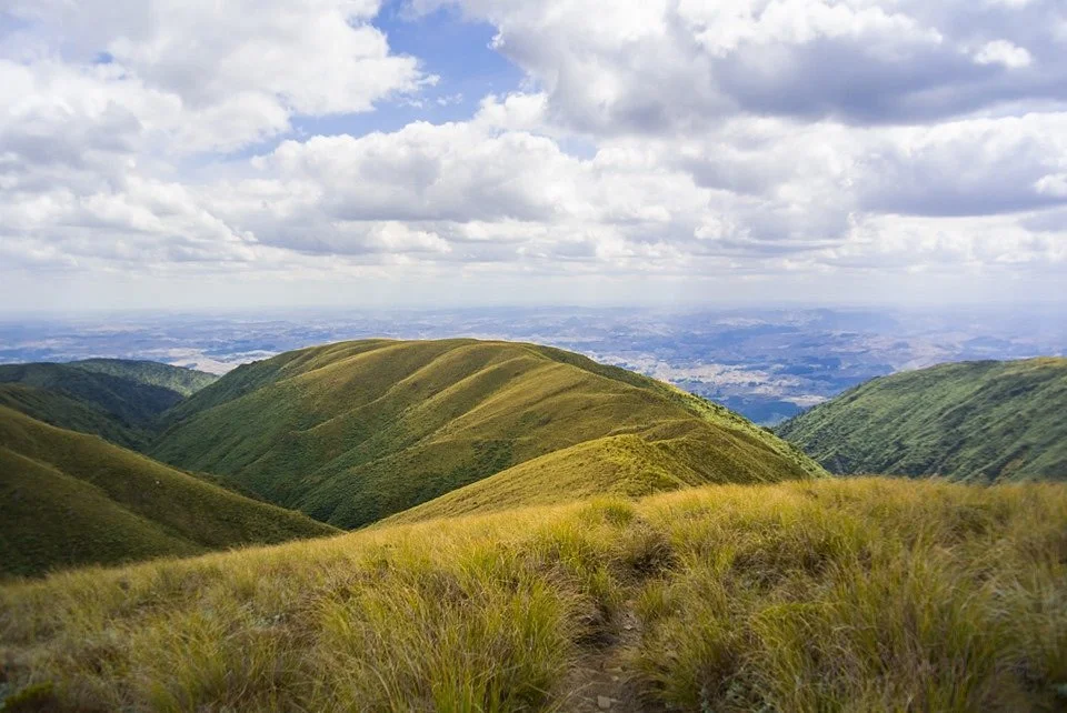 Rangiwahia Hut Track