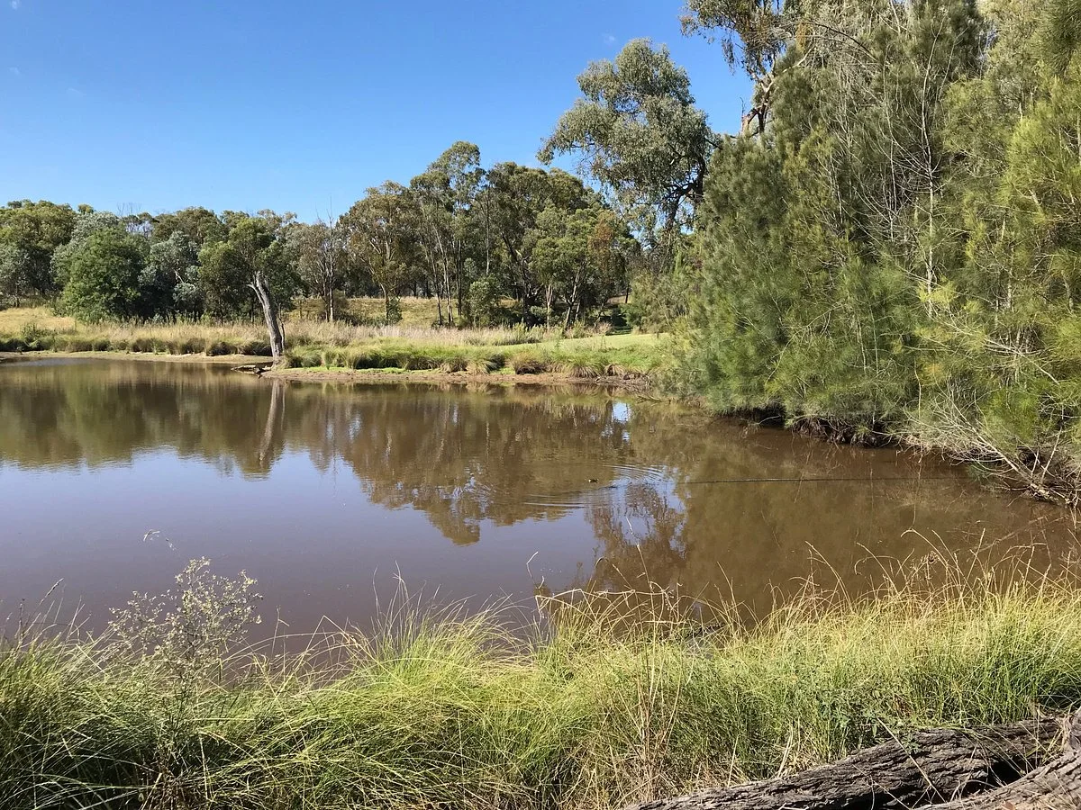 Burrendong Arboretum