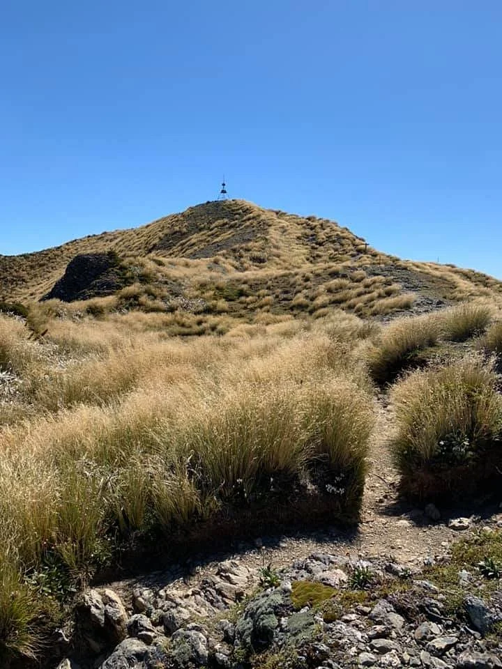 Mt Holdsworth - Jumbo Circuit