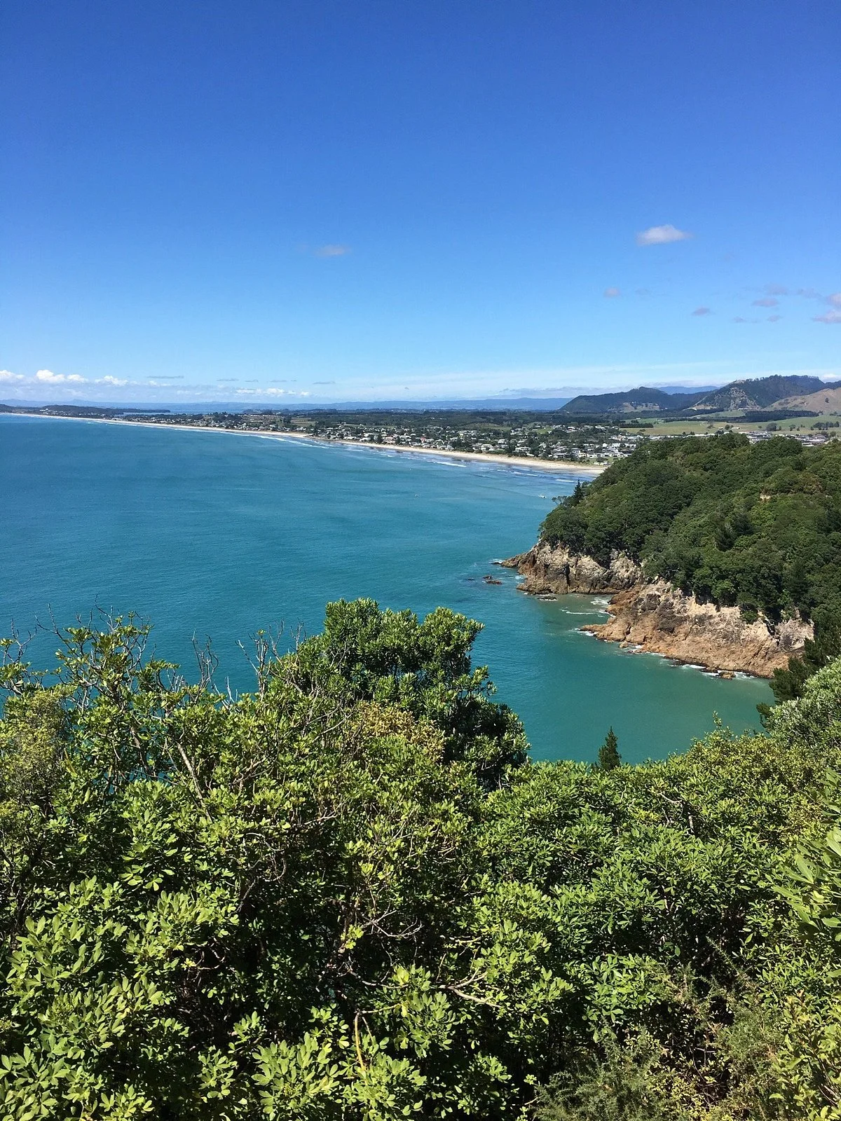 Orokawa Scenic Reserve
