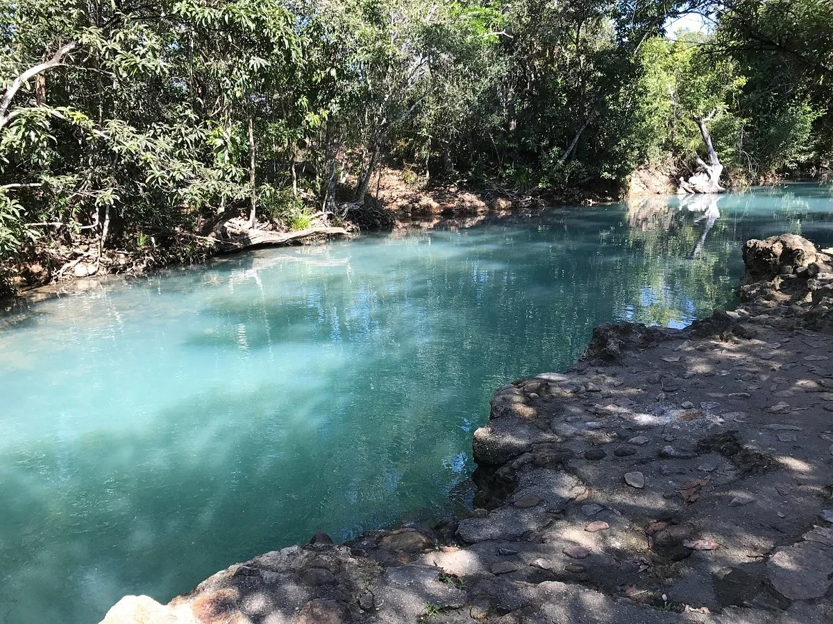 Cardwell Forest Drive