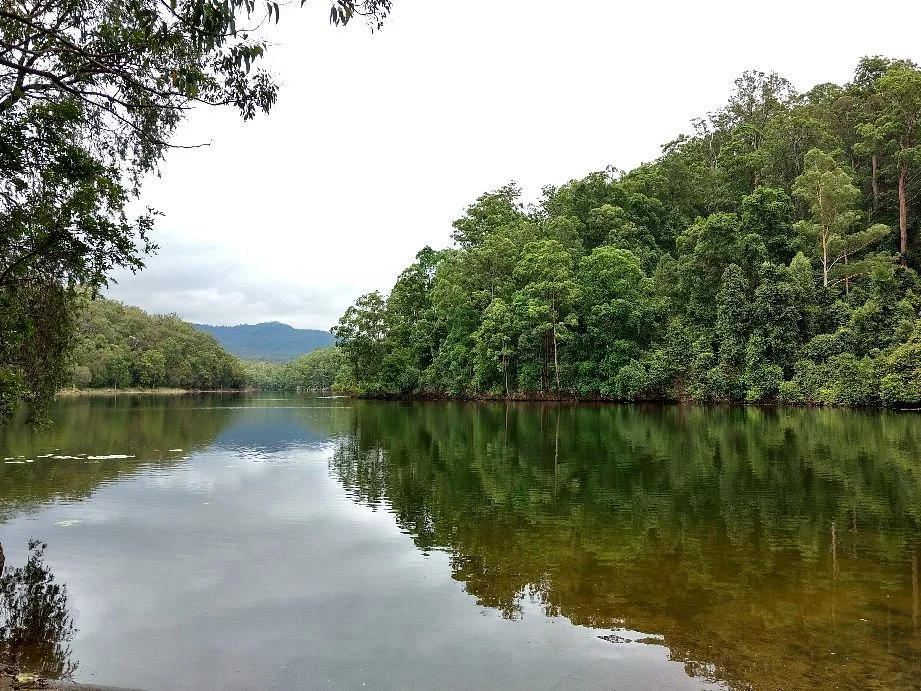 Toonumbar National Park