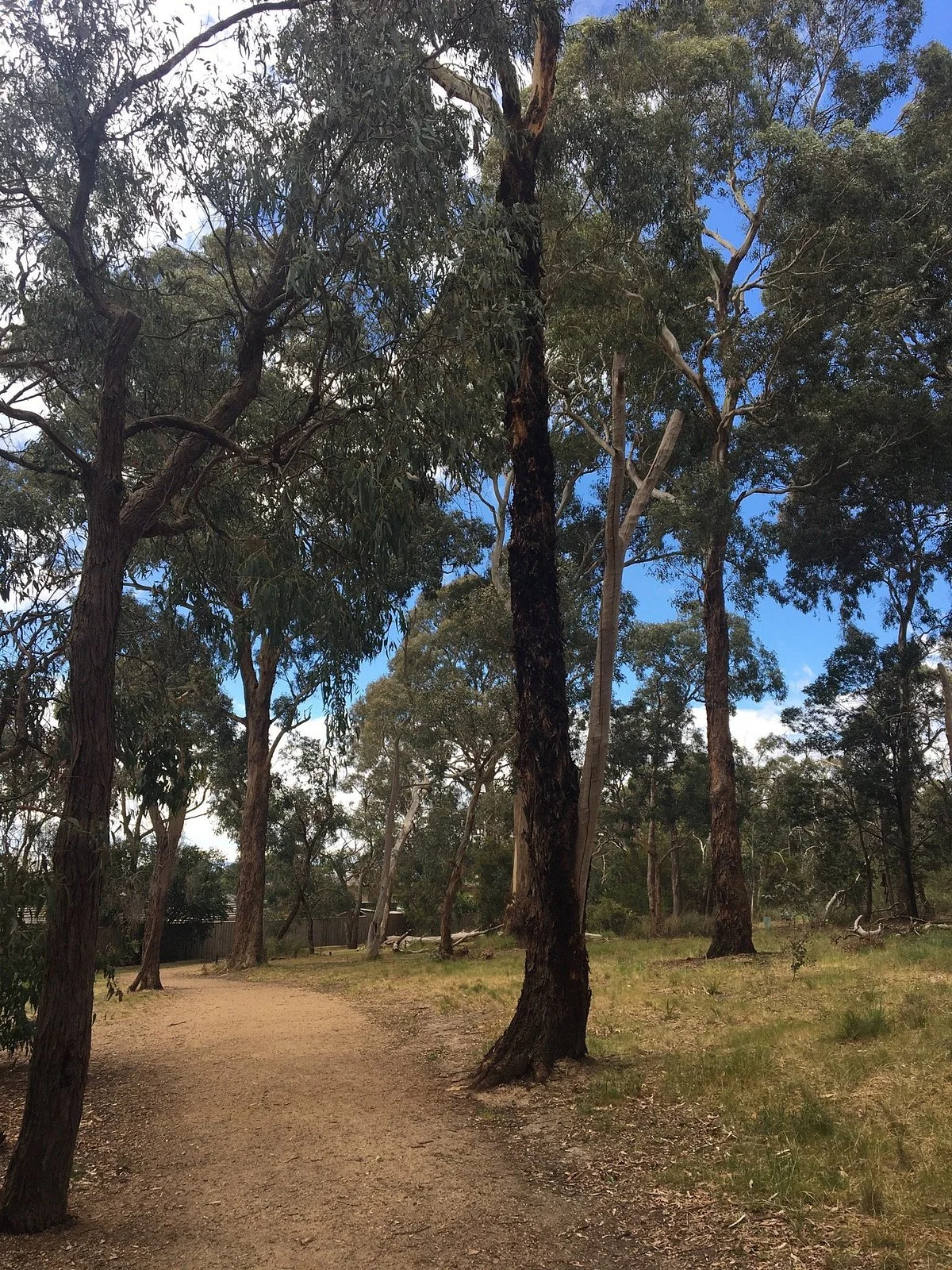 Hinkler Reserve