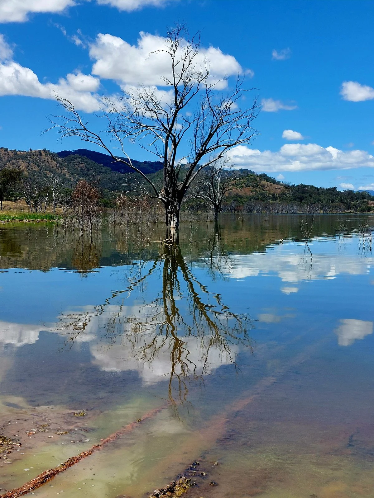 Chaffey Dam