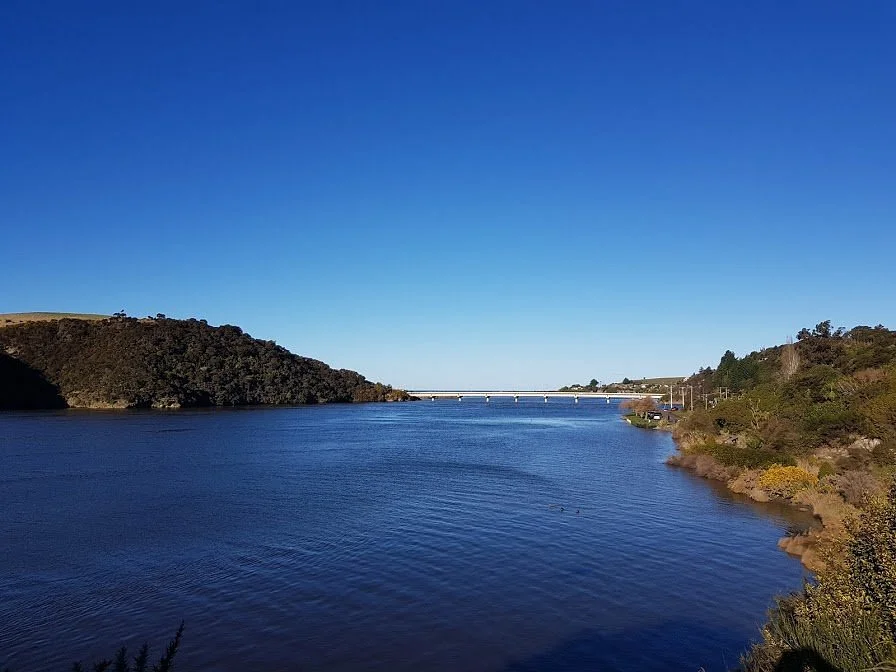 Taieri River Track