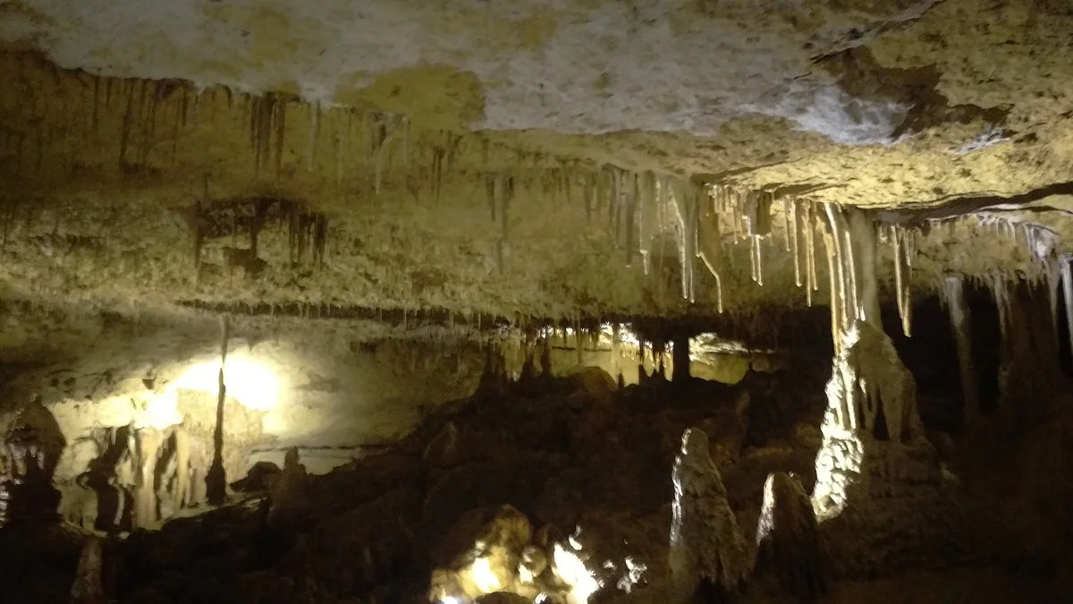 Victoria Fossil Cave