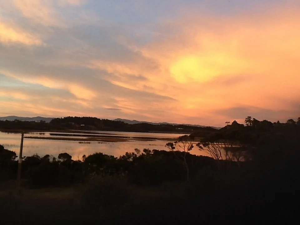 Lake Ngatu Track