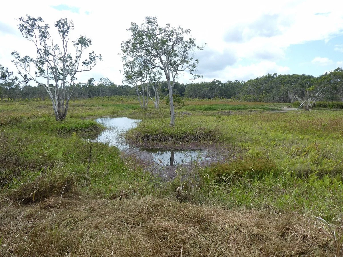 Abattoir Swamp Environmental Park