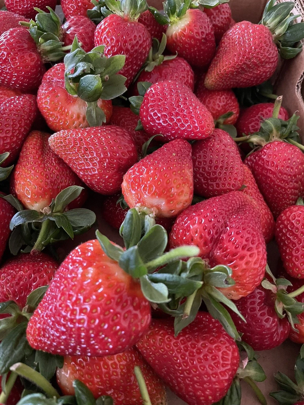 Berrylicious Strawberries