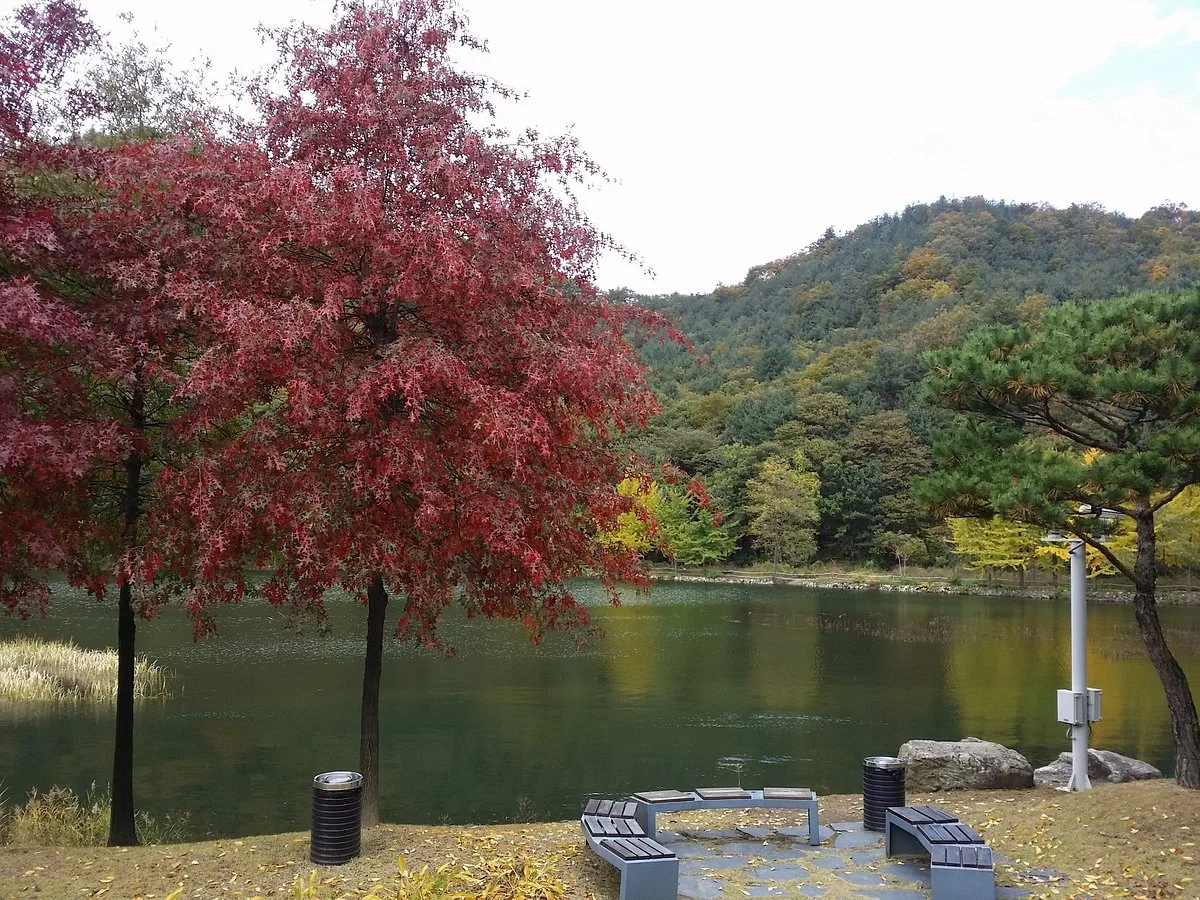 Cheongpyeong Lake