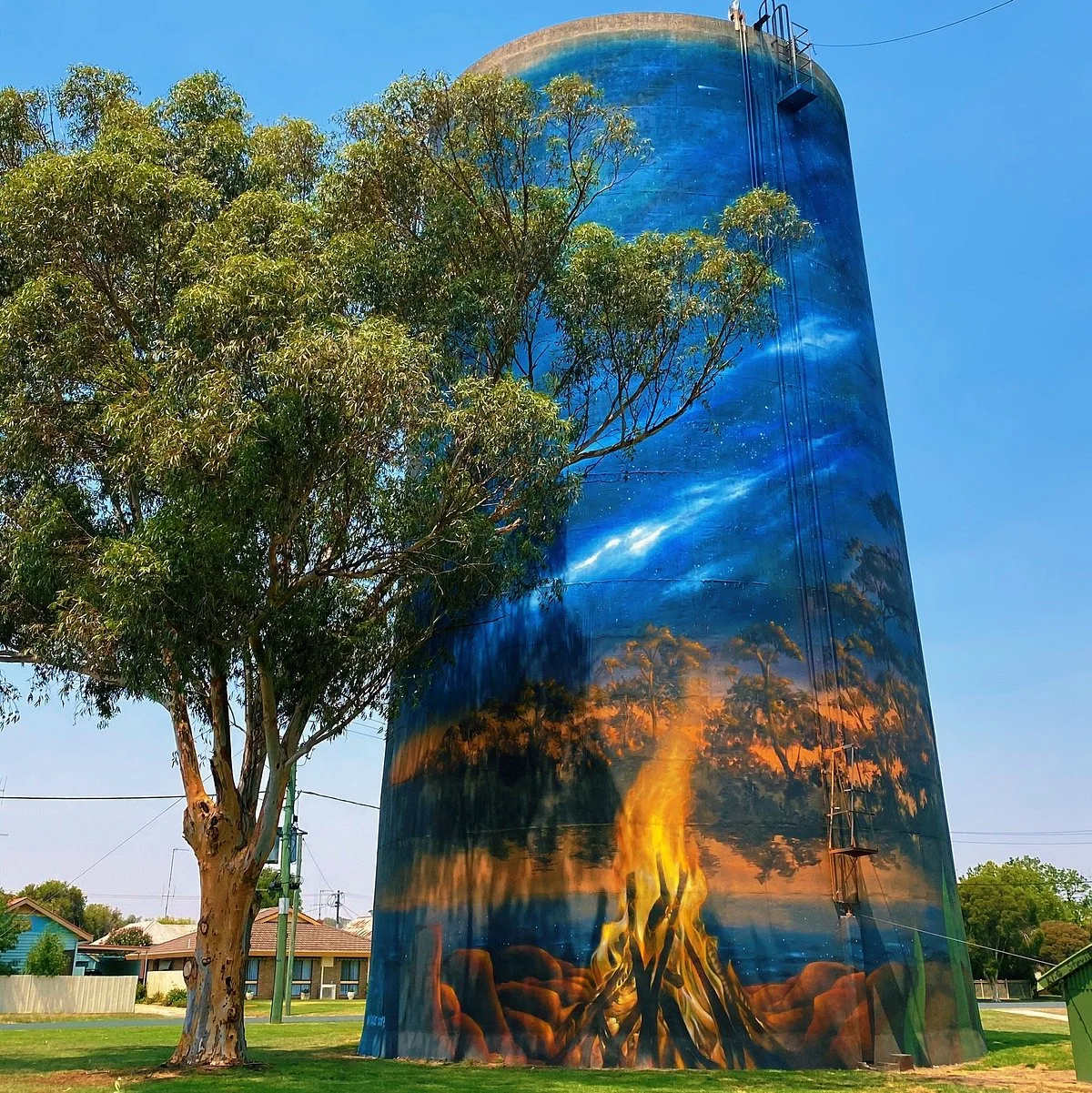 Deniliquin Water Tower Mural