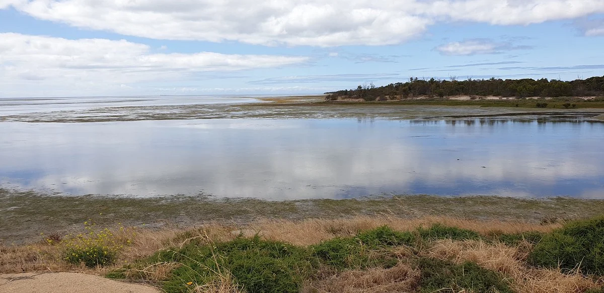 Coobowie Estuary and Bird Hide