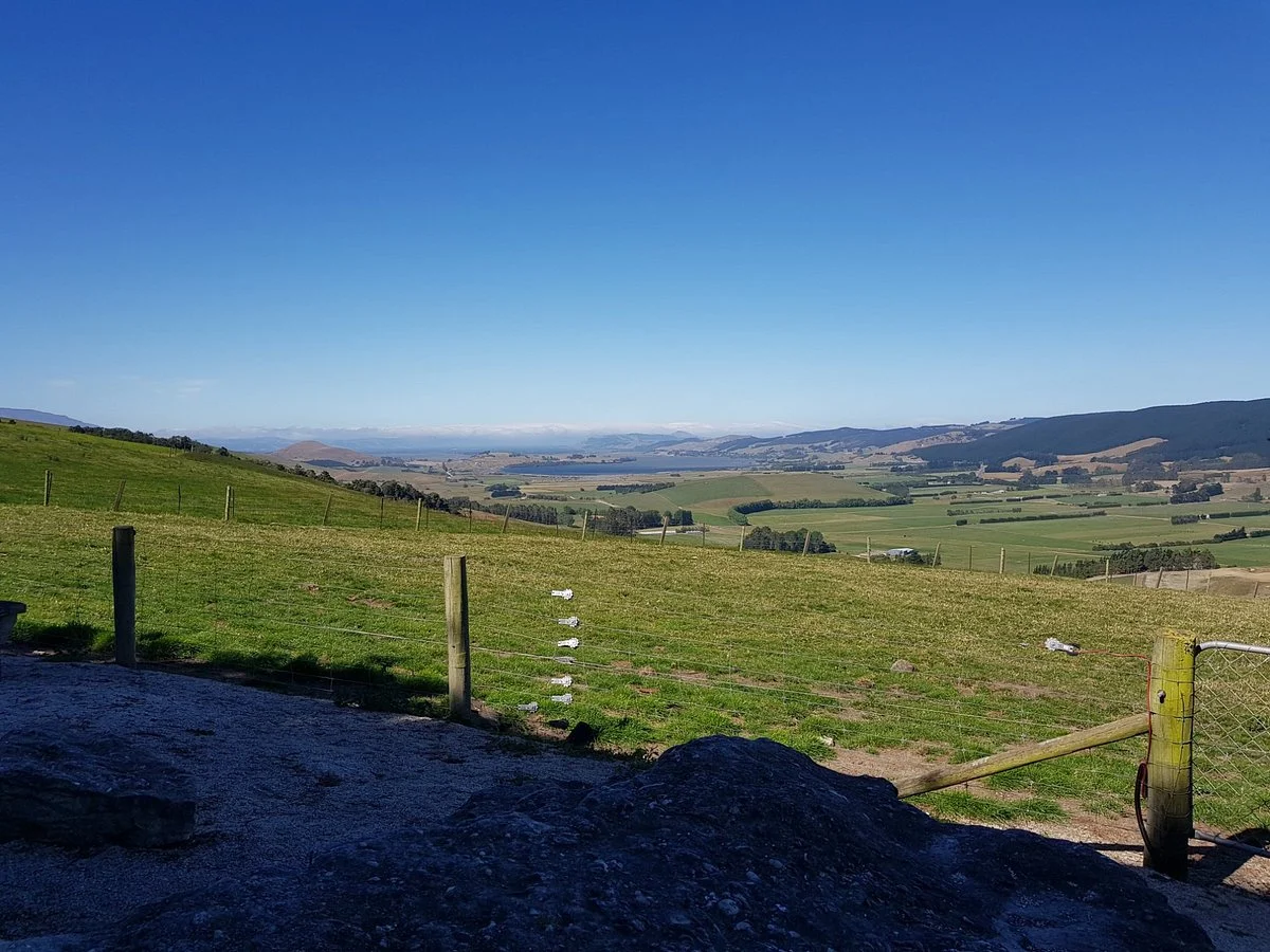 Milburn Whale Fossils & Lookout