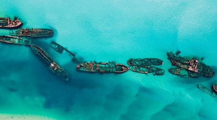 Black Lion Martial Arts