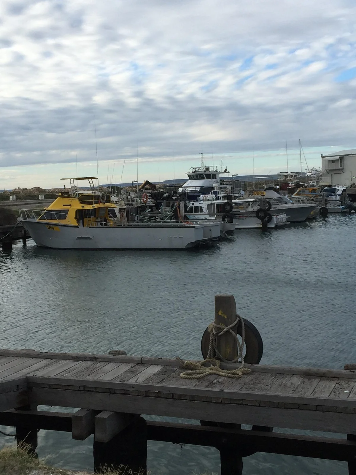 Fishing Boat Harbour