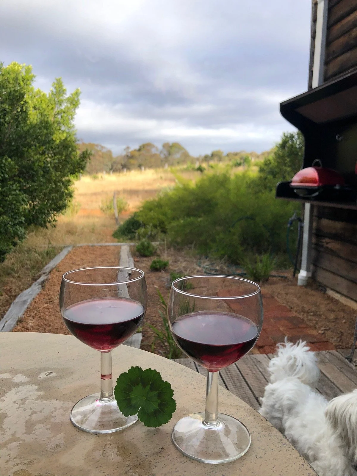 Hotham Ridge Winery