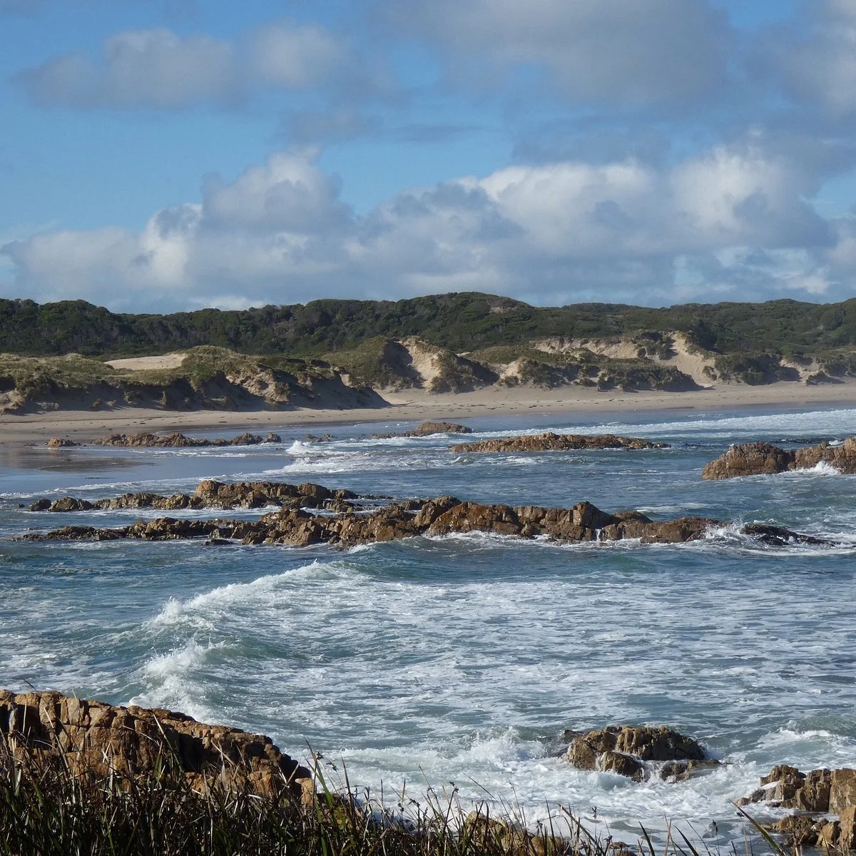 Arthur-Pieman Conservation Area