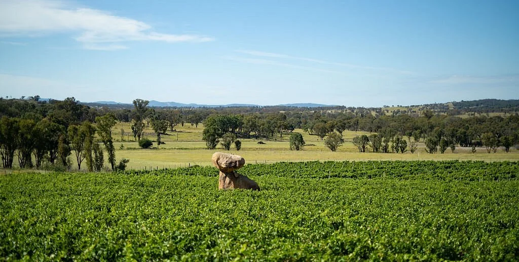 Balancing Heart Vineyard (formerly Balancing Rock)