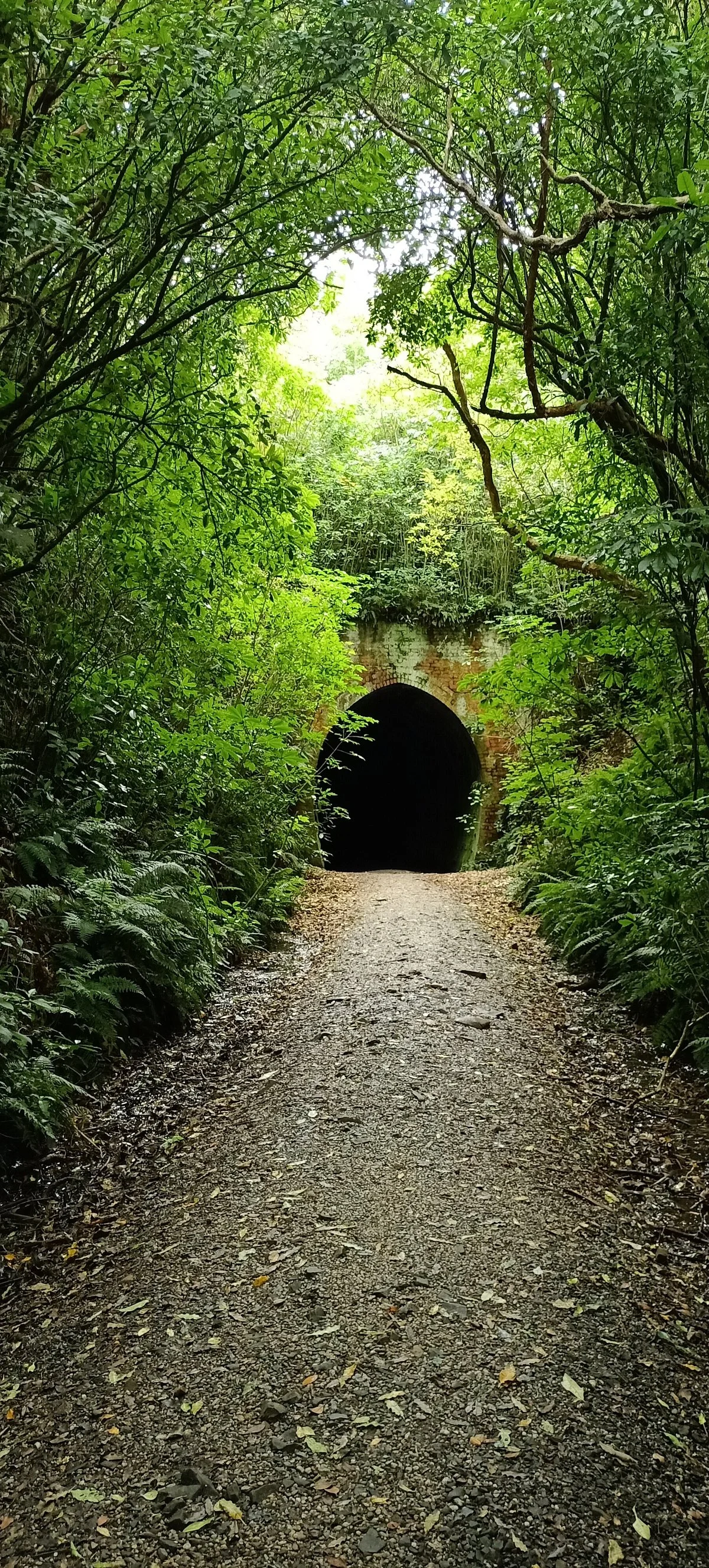 Tunnel Hill