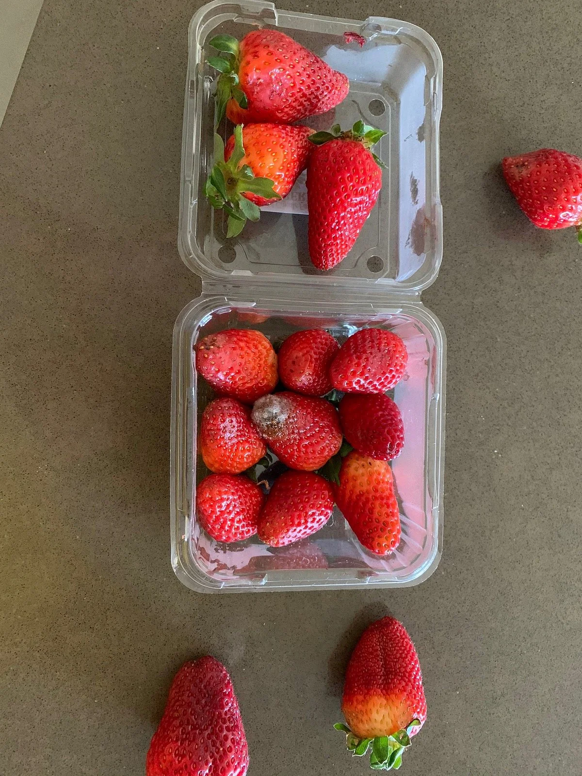 Camden Fruit Barn