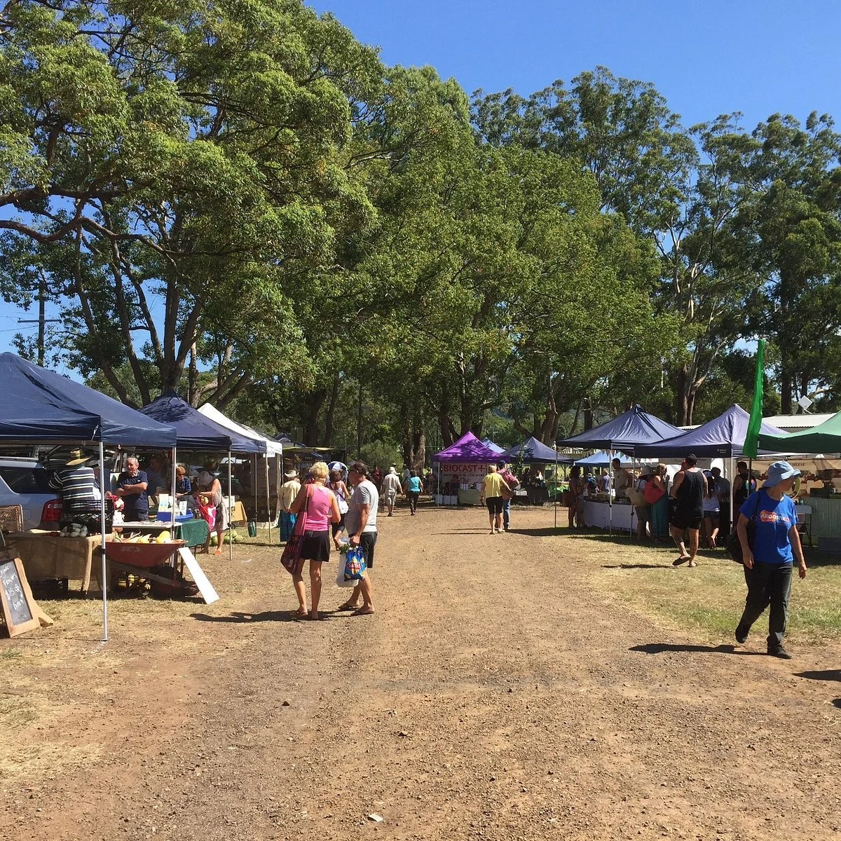 Nabiac Farmers Market