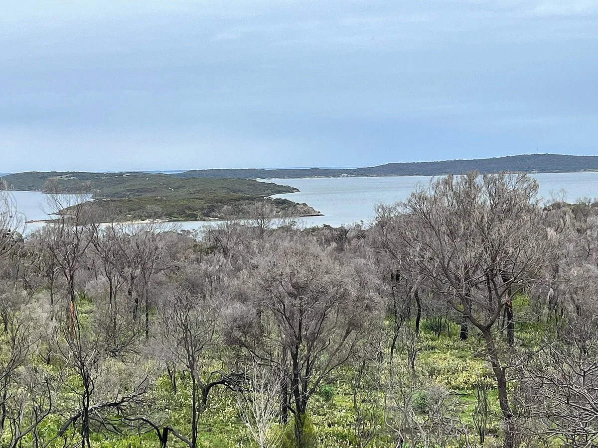 Coffin Bay Lookout