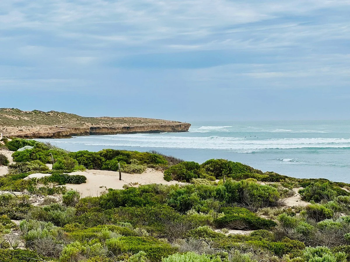 Cactus Beach