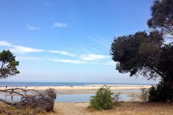 Doug Grant Reserve