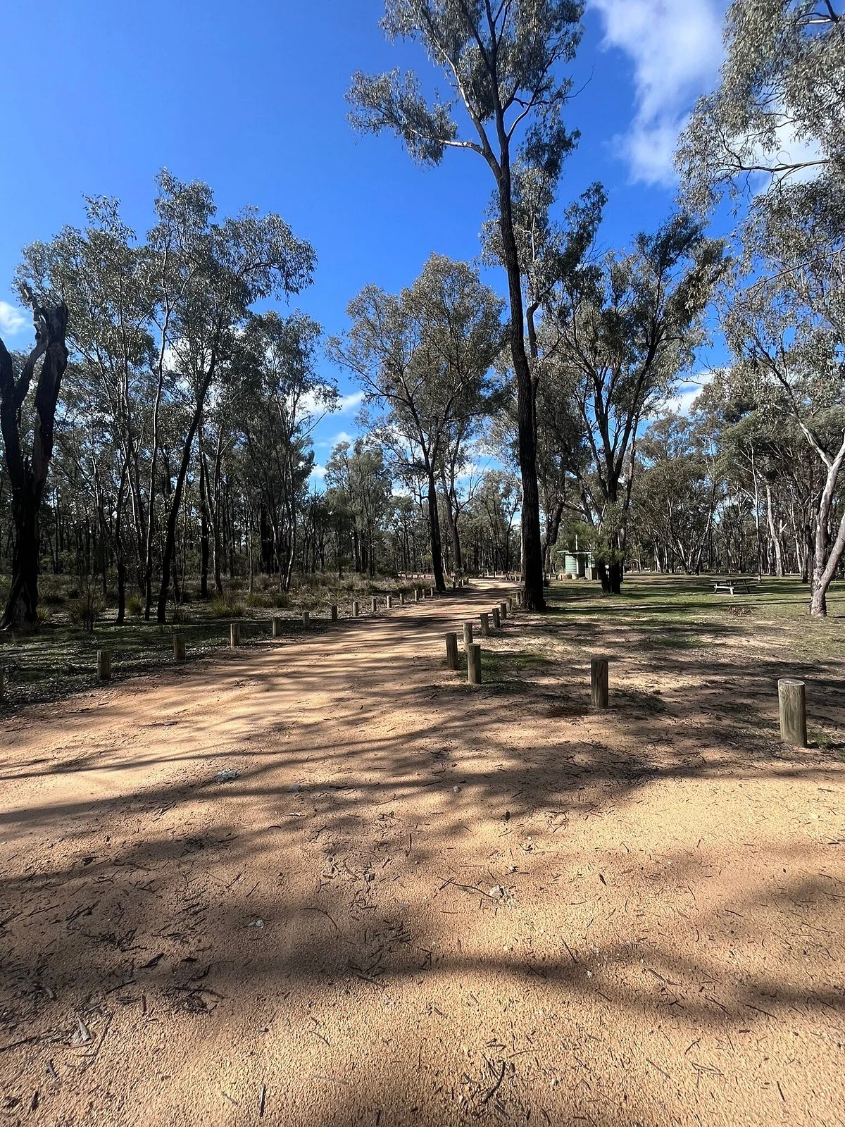 Goobang National Park