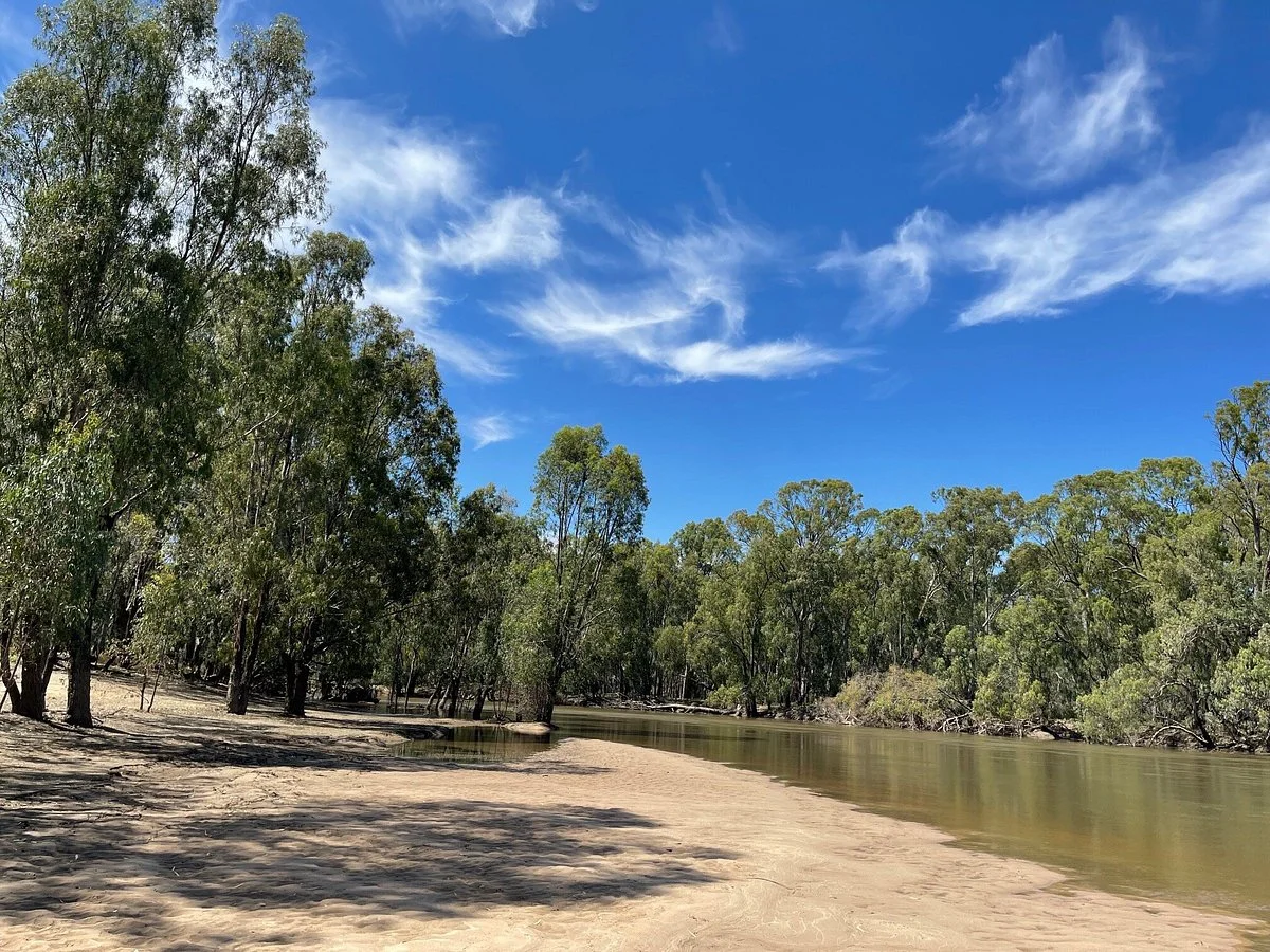 Koala Reserve