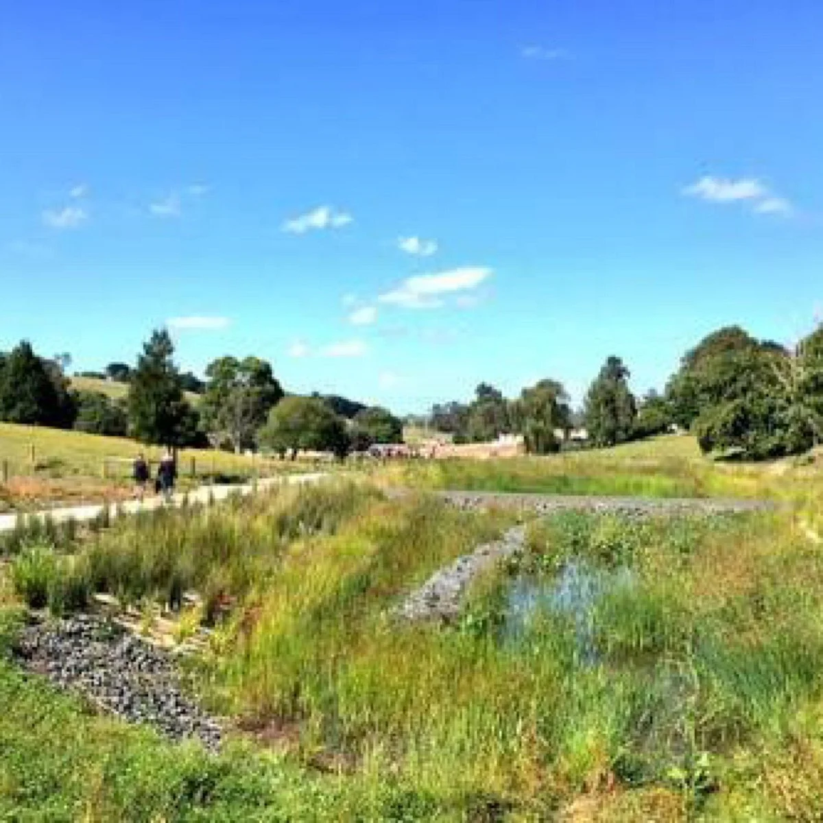 Neerim South Wetlands