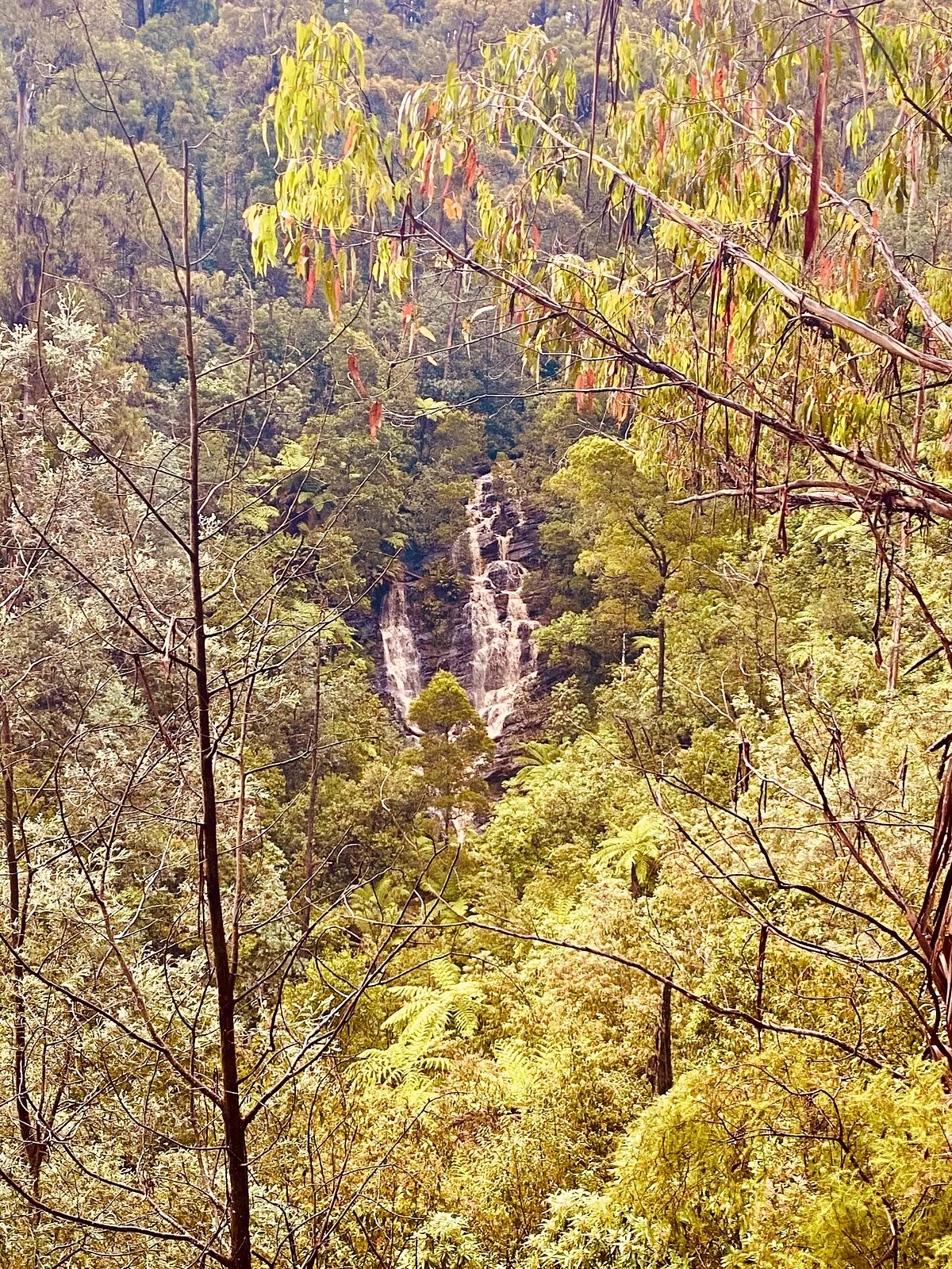 Wombelano Falls
