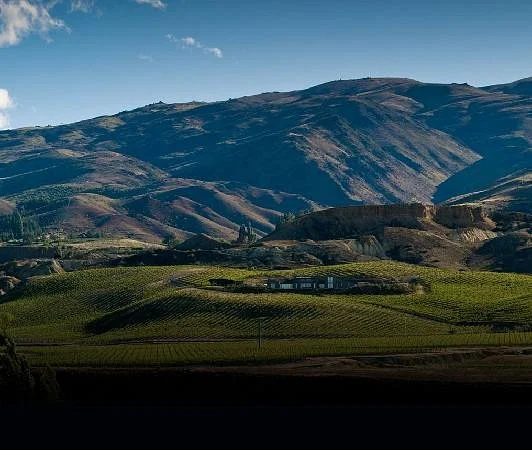 Gate 20 Two Vineyard