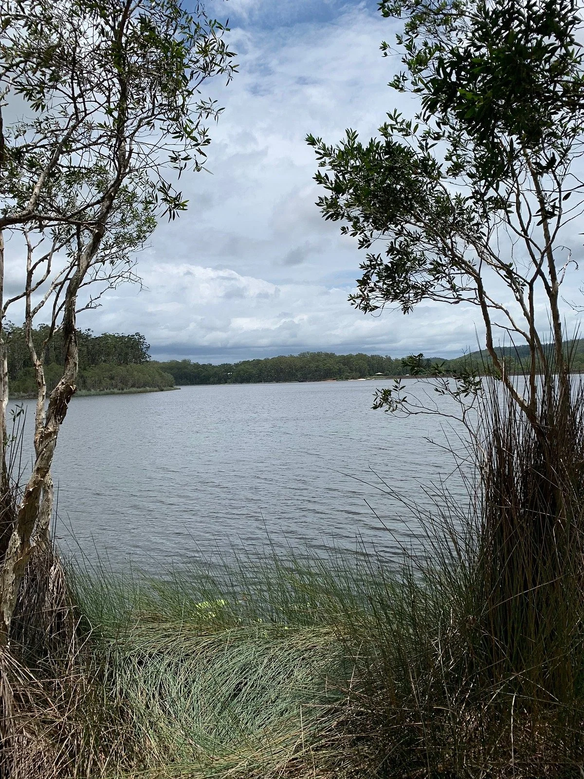 Ewen Maddock Mountain Bike Trail