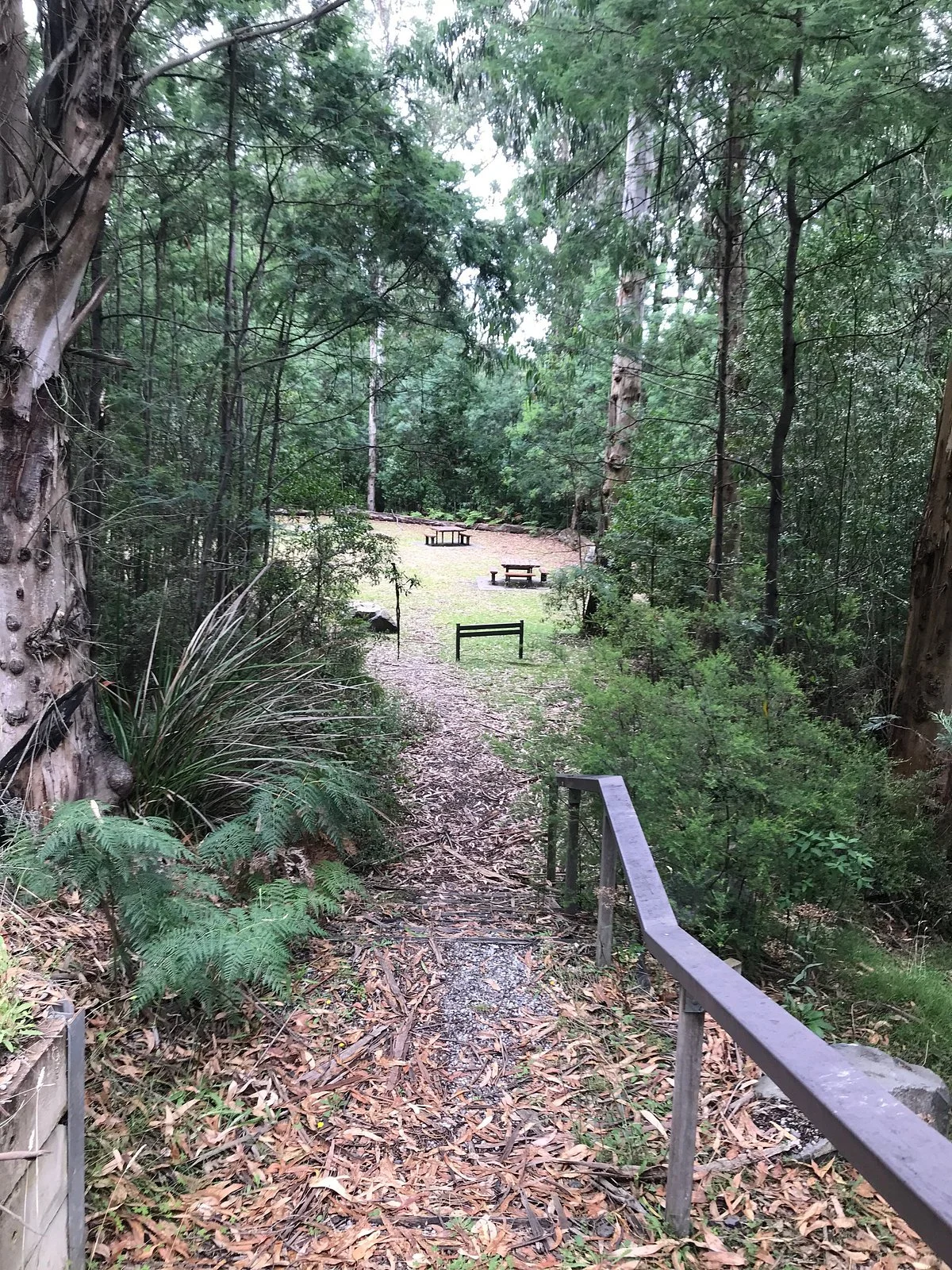 Lawson Picnic Ground