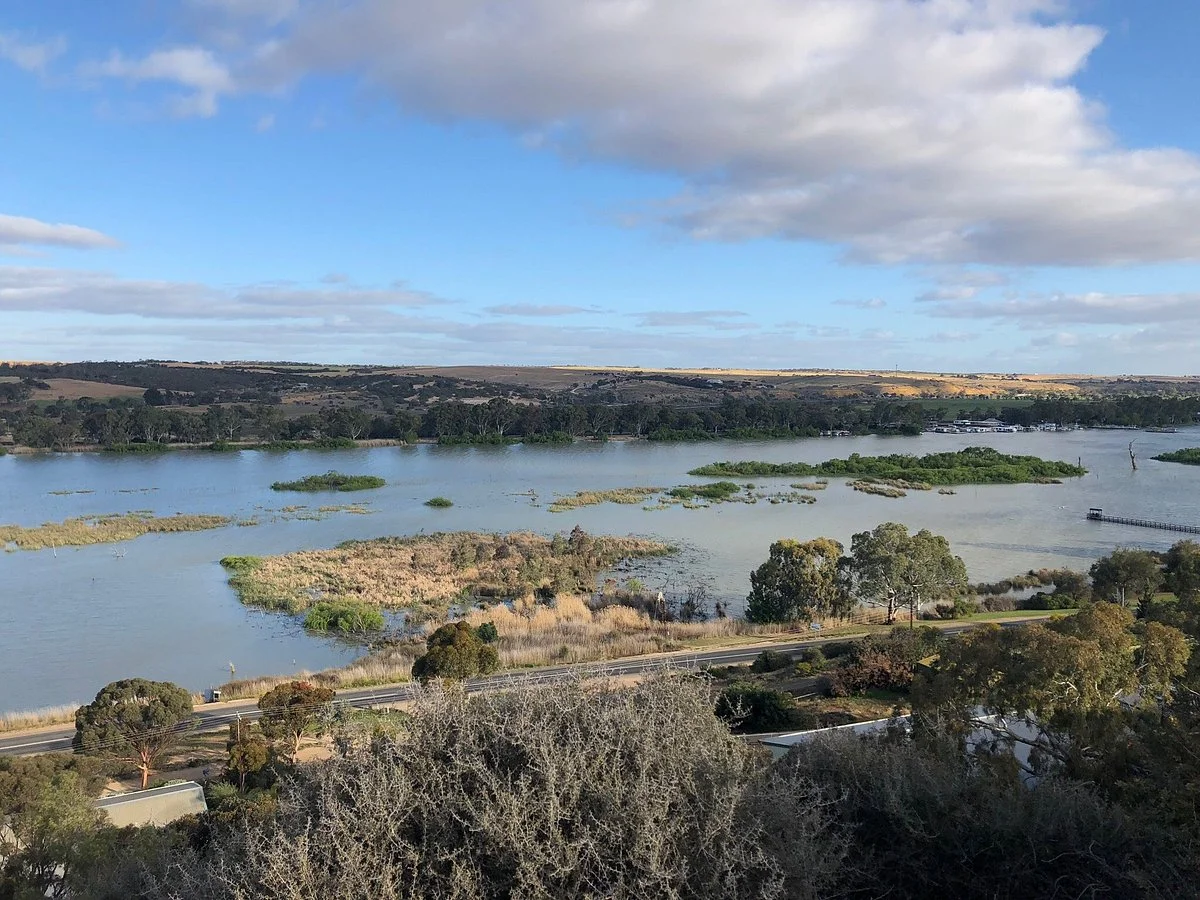 Mannum Lookout