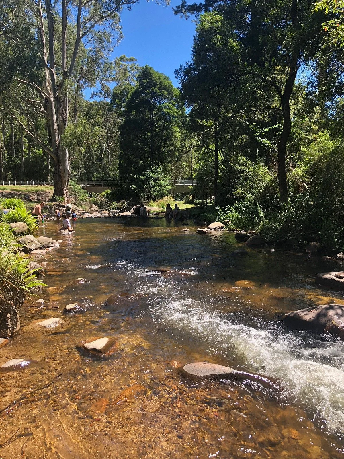 Mirimbah Park