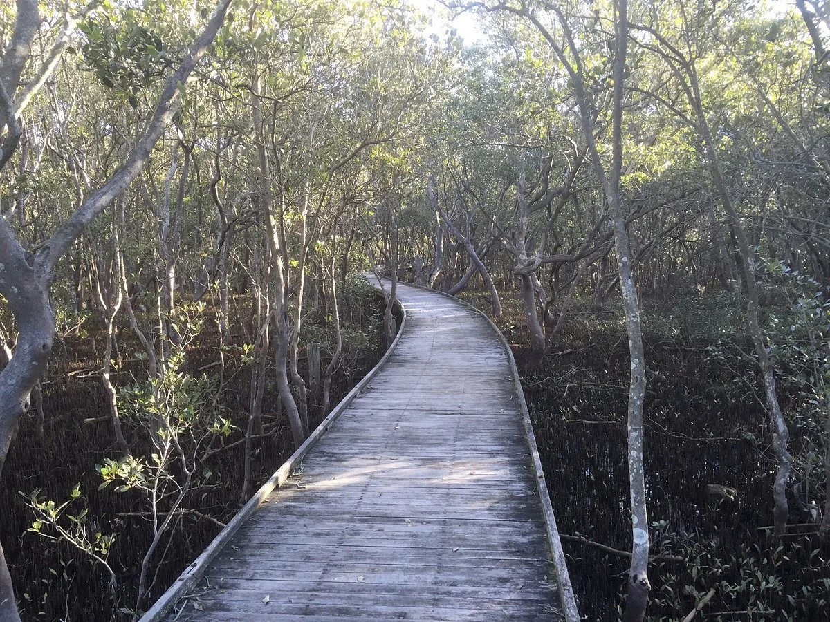 Hunter Wetlands National Park