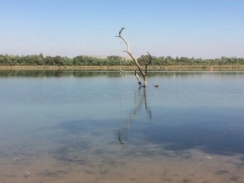 Swim Beach Park