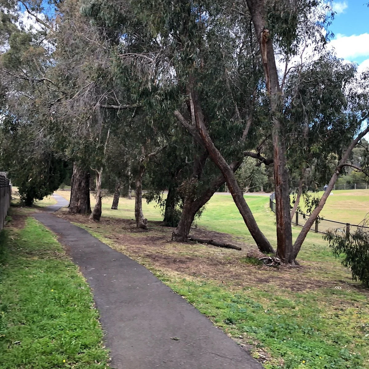 Boronia Grove Reserve