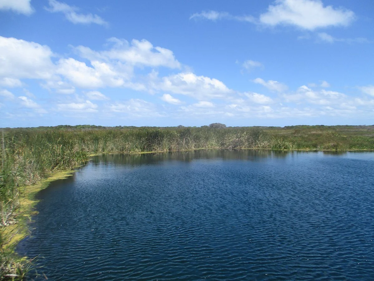 Piccaninnie Ponds Conservation Park
