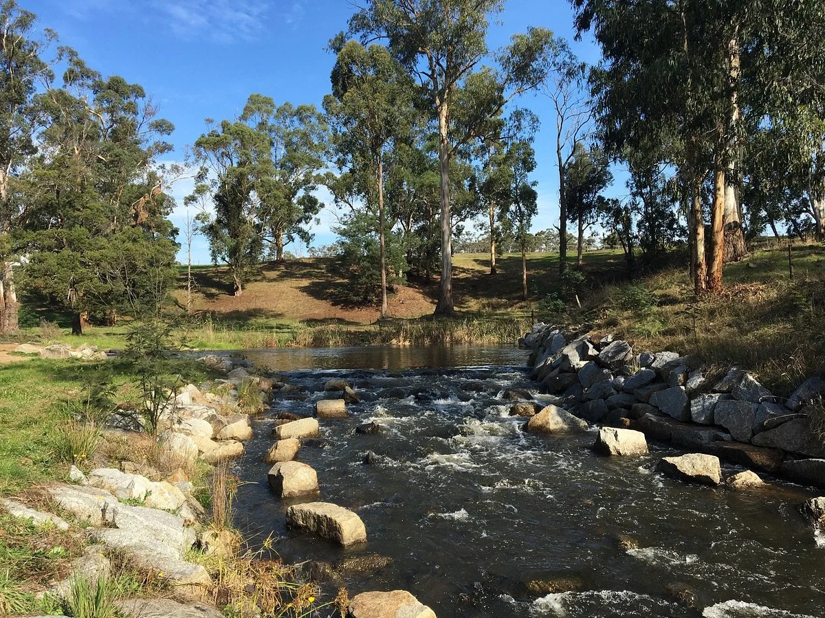 Robin Hood Reserve