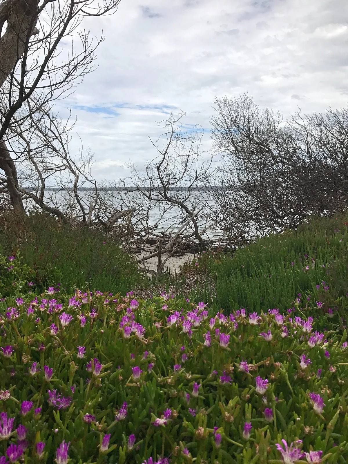 Blond Bay Wildlife Reserve