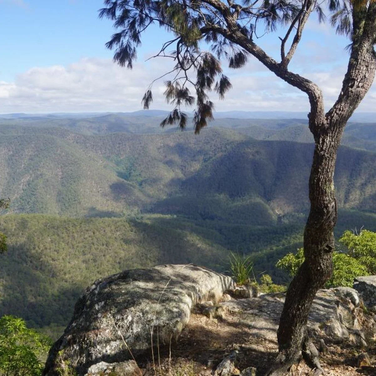 Guy Fawkes River National Park
