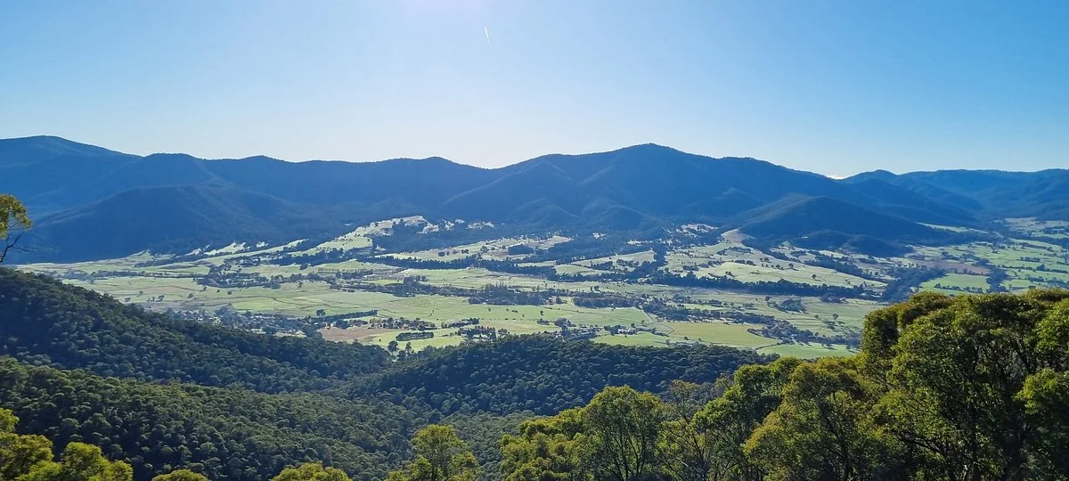 Mount Bogong Lookout