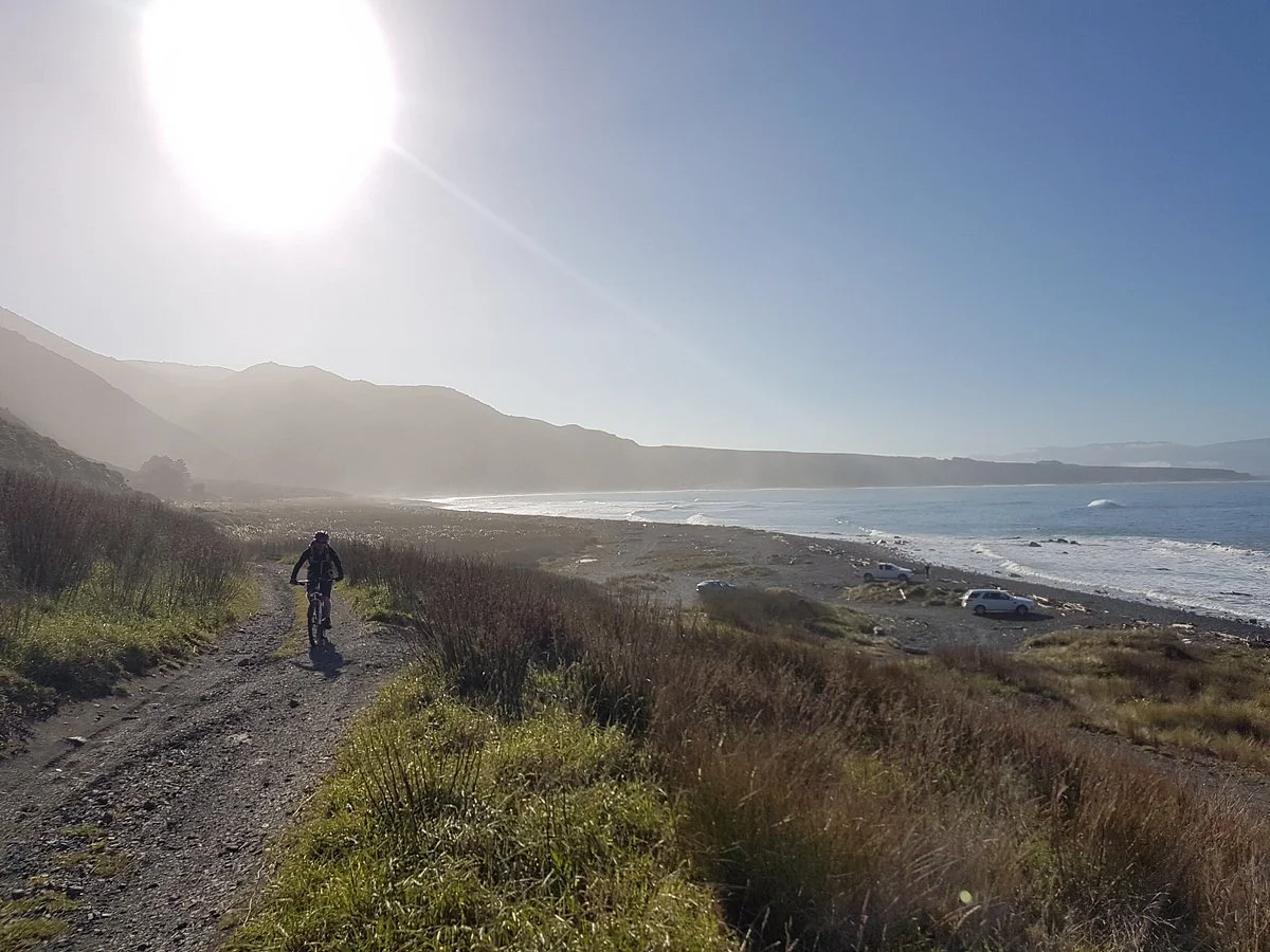 Te Rakau Birding