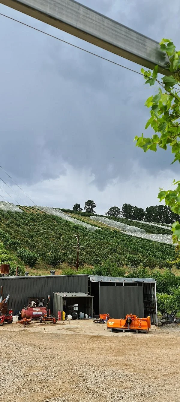 Lennane Orchards